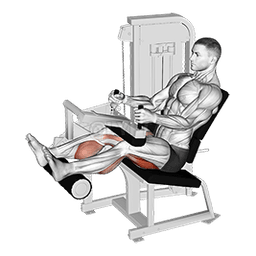 Image of Lever Seated Leg Curl