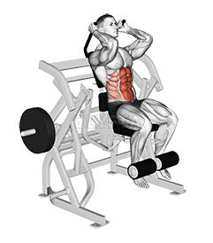 Lever Sittende Leg Raise Crunch demonstration