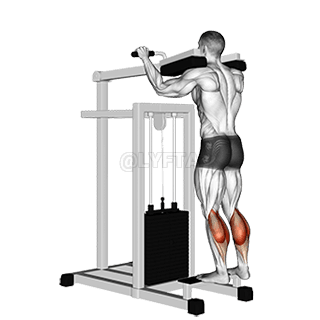 Image of Lever Standing Calf Raise