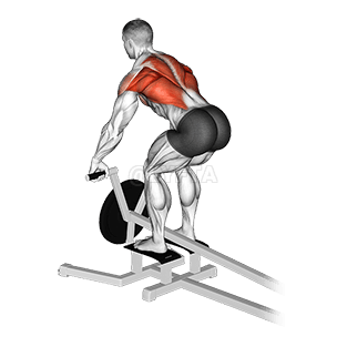 Image of Lever T bar Row