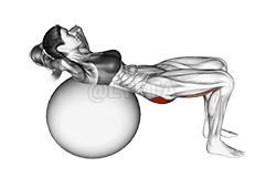 Nagulbod nga Hip Lift demonstration