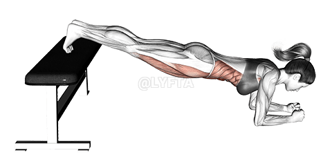Thumbnail for the video of exercise: Narrow Leg Bench Bridge