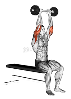 Extensão olímpica de tríceps com barra demonstration