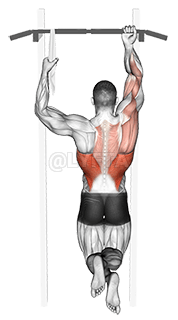 Thumbnail for the video of exercise: One Arm Chin-Up