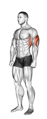 Alongamento aéreo do tríceps demonstration