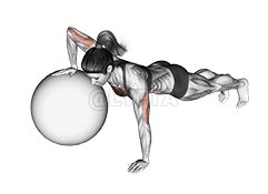 Thumbnail for the video of exercise: Opstoot