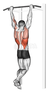 Rotsachtige pull-up pulldown demonstration