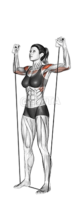 Thumbnail for the video of exercise: Shoulder Press