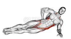 Thumbnail for the video of exercise: Side Bridge