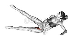 옆으로 누운 발 들어올리기 demonstration