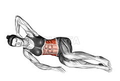 Thumbnail for the video of exercise: Side Sit-up