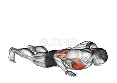 Push-up Lengan Tunggal demonstration