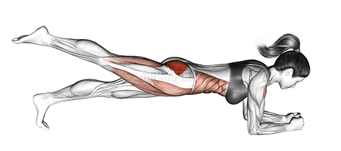Puente de una sola pierna demonstration