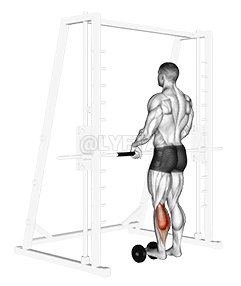 Thumbnail for the video of exercise: Single Leg Calf Raise