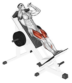 Thumbnail for the video of exercise: स्लेज क्लोजर ह्याक स्क्वाट