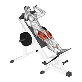 Image of Sled Hack Squat