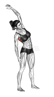 Lereng Menuju Peregangan demonstration