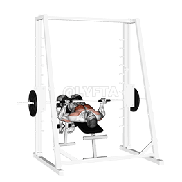 Smith Decline Reverse-grip Press demonstration