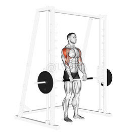 史密斯直立划船 demonstration