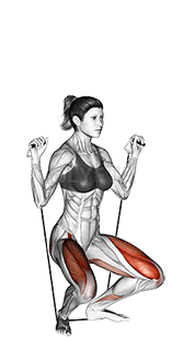 Thumbnail for the video of exercise: Squat