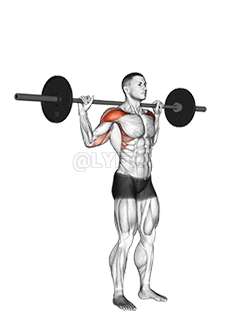 Presse debout derrière le cou demonstration