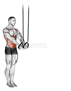 An dakatar da Faɗuwar Ciki demonstration