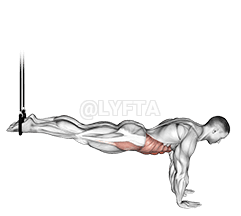 Crunch Inverso Suspendido rehegua demonstration