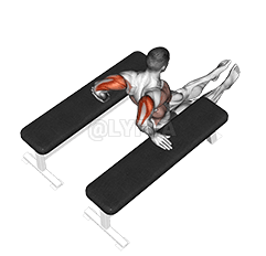 Triceps Dip demonstration