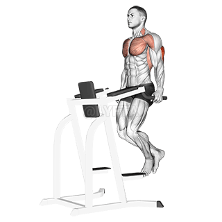 ट्राइसेप्स डिप demonstration