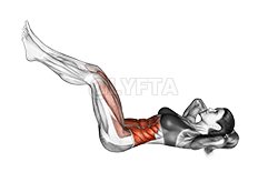 트위스트 크런치 demonstration