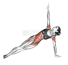 Twist Side Bridge demonstration