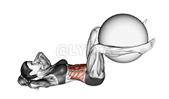 Thumbnail for the video of exercise: Weighted Crunch