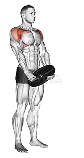 Aurrealdeko igoera haztatua demonstration