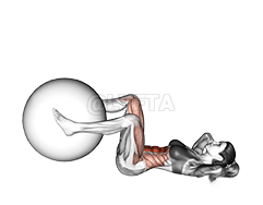 Pezigita Leg Extension Crunch demonstration