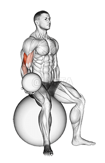 Thumbnail for the video of exercise: ਵਜ਼ਨਦਾਰ ਸੀਟਿਡ ਬਾਈਸੈਪ ਕਰਲ