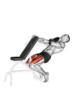 Веигхтед Сисси Скуат demonstration