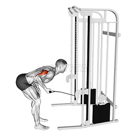 Contragolpe del cable demonstration