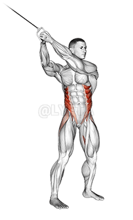 Torsion du câble demonstration