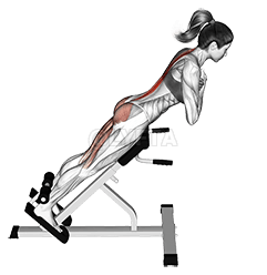 45 degere hyperextension (janya caya kojugu). demonstration