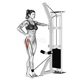 Kábel csípőrablás demonstration