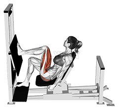 Lever Horizontal Okugulu okumu Nnyiga demonstration