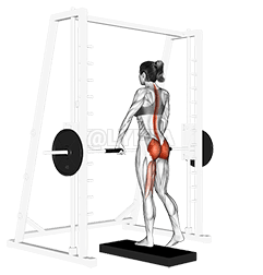 Smith One Leg Deadlift demonstration