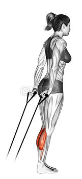 Baandii re'ee guddisuu demonstration