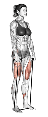 Band deadlift demonstration