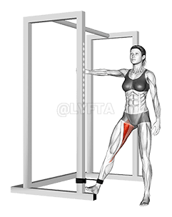 弹力带髋内收 demonstration