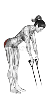 Разгибание бедра с лентой demonstration