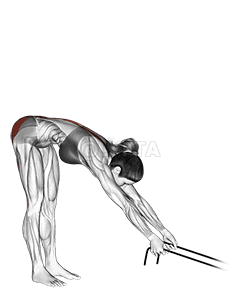 Thumbnail for the video of exercise: Band hyperextension