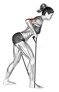 Retrocesso da banda demonstration