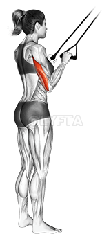 Pushdown de banda demonstration