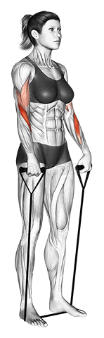 Arricciatura inversa della fascia demonstration